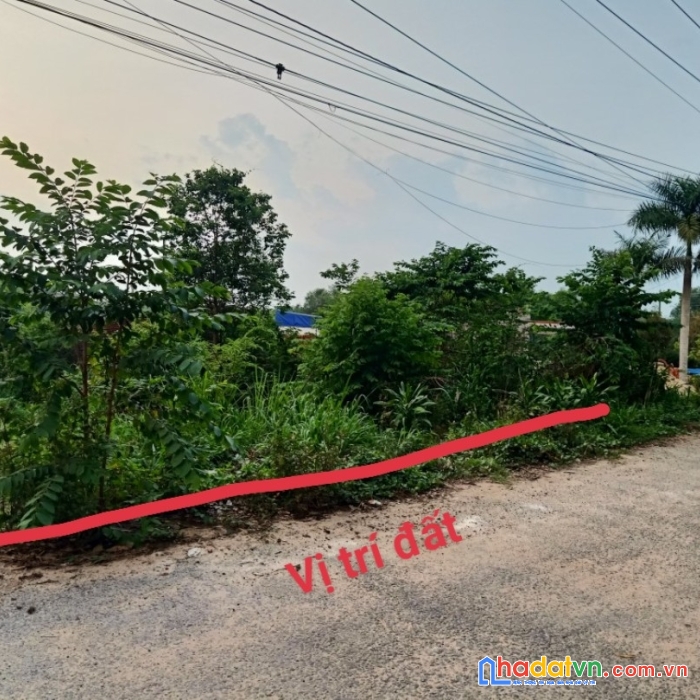 Đất thị trấn dầu tiếng -bình dương có thổ cư giá rẻ