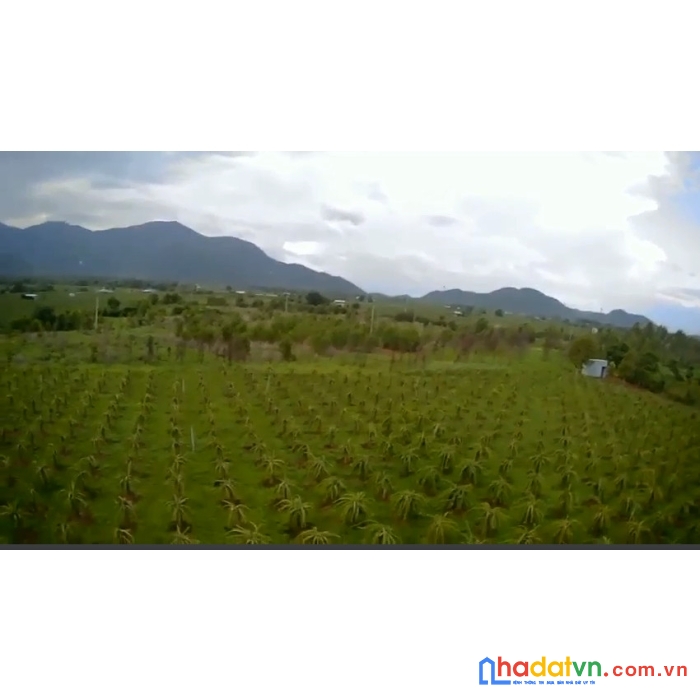 Chính chủ cần bán lô đất xã hàm thạnh , huyện hàm thuận nam , bình thuận