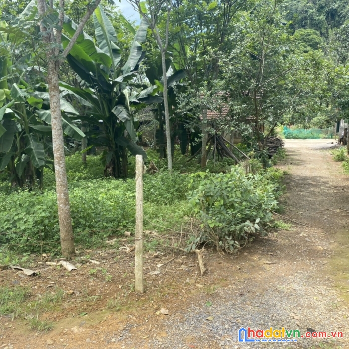 Bán nhanh lô đất 643 m giá chỉ hơn 500t tại lỗ sơn tân lạc hòa bình