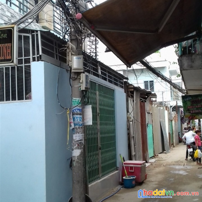 Bán gấp dãy nhà trọ đường huỳnh tấn phát, q.7. giá chỉ 15,5 tỷ