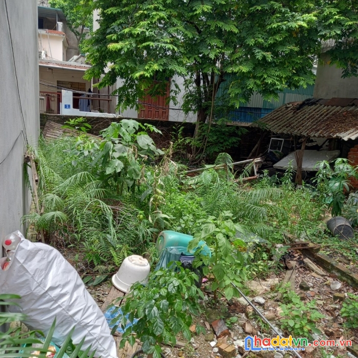 Bán đất phúc đồng, long biên, 42m, mặt tiền 4m, vuông vắn, ngõ 2,8m, 3,020 tỷ