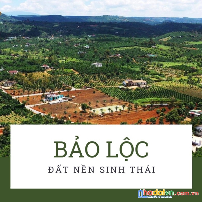 Đất tăng giá khu bảo lộc lâm đồng