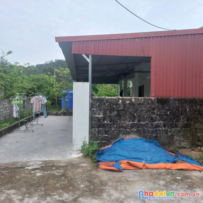 Thanh lý mảnh đất giá rẻ  tại cô tô, 881m2 (0972125742)