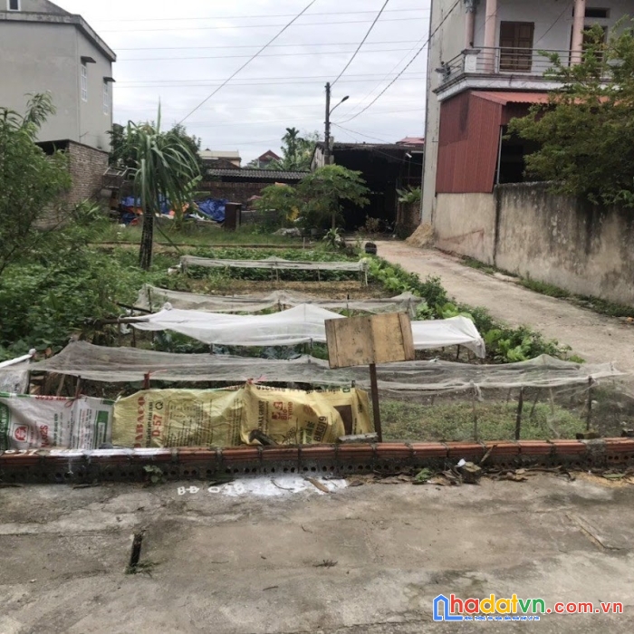 Cần bán mảnh đất vuông vắn, lô góc thôn đình trung, xã xuân nộn, đông anh.