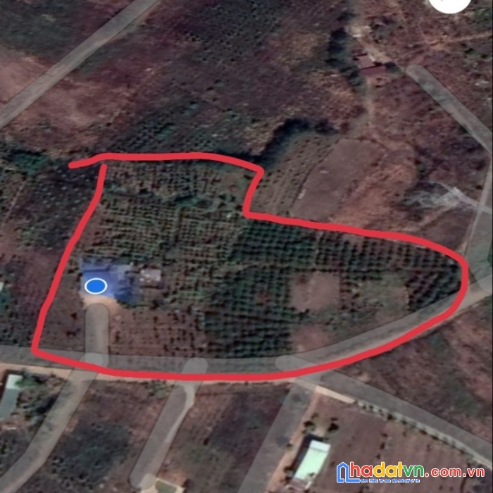 Cần bán gấp lô đất đẹp tại xã iale, huyện chưpuh, tỉnh gia lai