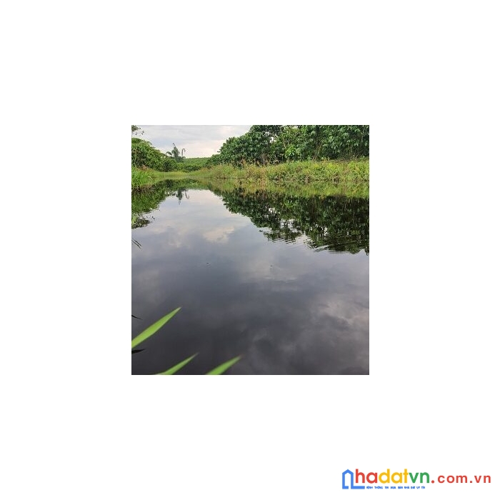 Chính chủ cần bán vườn cà phê thôn 9, lộc ngãi, bảo lâm, lâm đồng