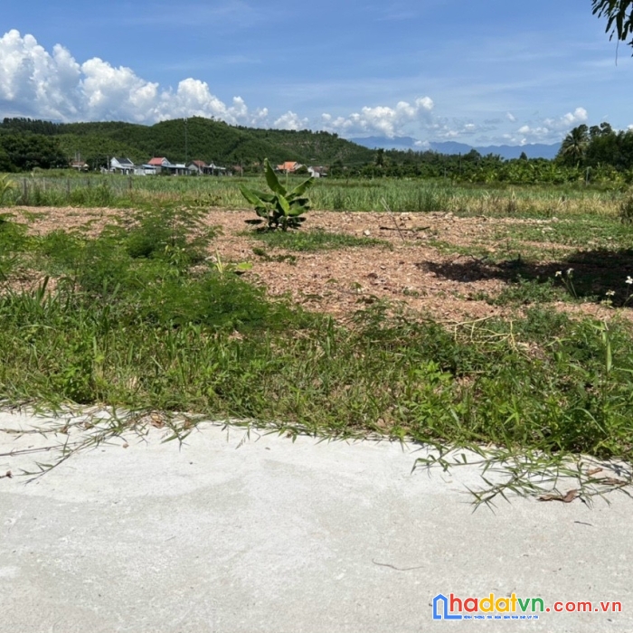 Cần bán lô đất phù hợp phân lô tại diên thọ, diên khánh