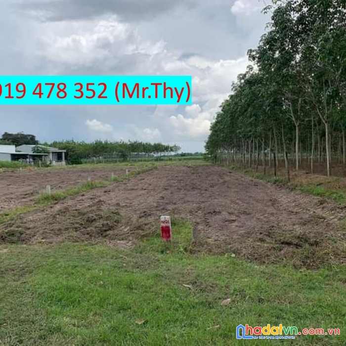 Hot hot chính chủ cần bán gấp 3 lô đất vị trí tại tân biên - tây ninh