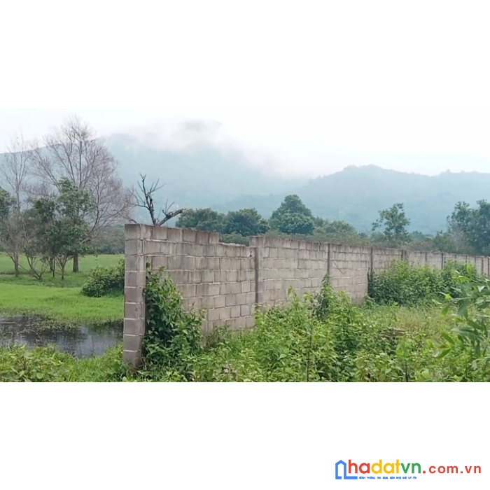 Bán gấp 2 sào đất view suối gần đường ct dầu giây - phan thiết