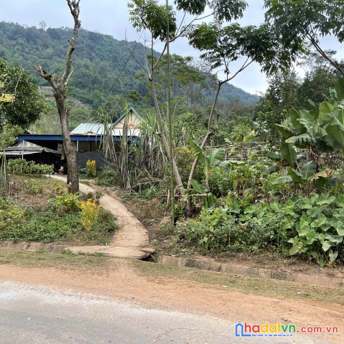 Bán mảnh đất 665m2 nằm ở tiểu khu 19/5 chiềng sơn.