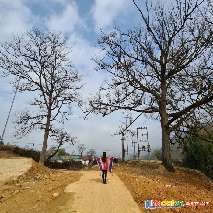 Tìm nhà đầu tư đất y tý có sổ đỏ giá 2,5 tỷ tháng 6/2022