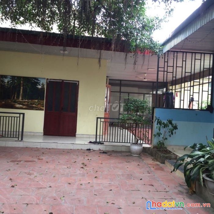 Bán nhà đất full thổ cư tại tổ dân phố 2, xã quí lộc, huyện yên định, thanh hóa