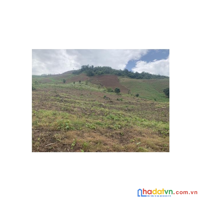 Bán đất nền nghỉ dưỡng