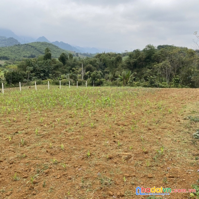 Chỉ nhỉnh nhỏ 2 tỷ  có ngay lô đất 6300 m bám suối tại lỗ sơn ,tân lạc ,hòa bình.