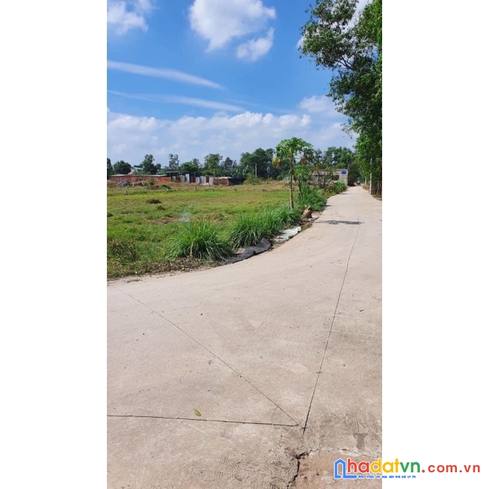 Đất sạch phân lô giá cực ngộp