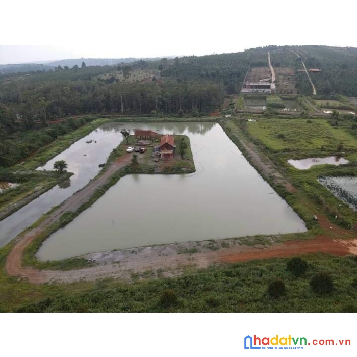 Hot hot hot nhanh tay sở hữu 1 siêu phẩm mới ra thị trường tại p.gia nghĩa, đăk nông