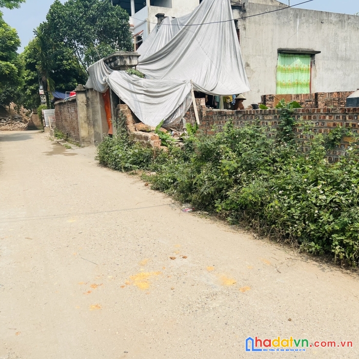 Bán đất hiền ninh sóc sơn lh:0981288566