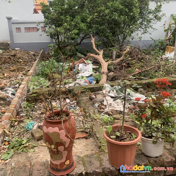 Đất đài bi đông anh 52m2 đường thông giá rẻ 2x tr/m2 gần bệnh viện đa khoa đông anh.