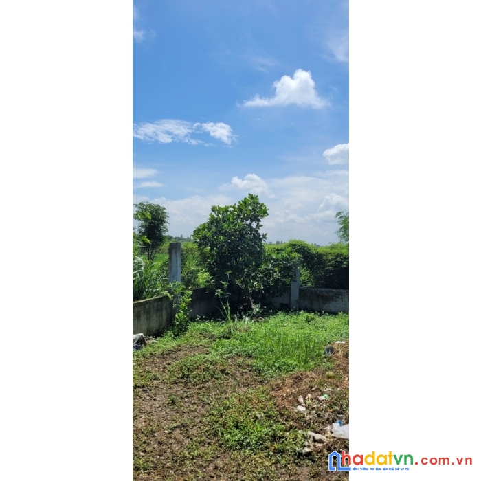 Cần bán nhà mới xây tại long chánh , gò công , tiền giang