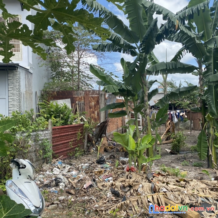 Gia đình tôi cần bán gấp miếng đất 172m2 ở xuân thới thượng, hóc môn