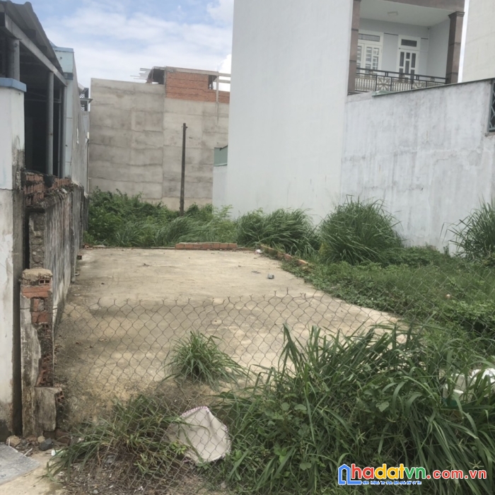 Bán đất ấp bà chủ gần ca huyện cần đước, 180m2 chỉ 500 triệu