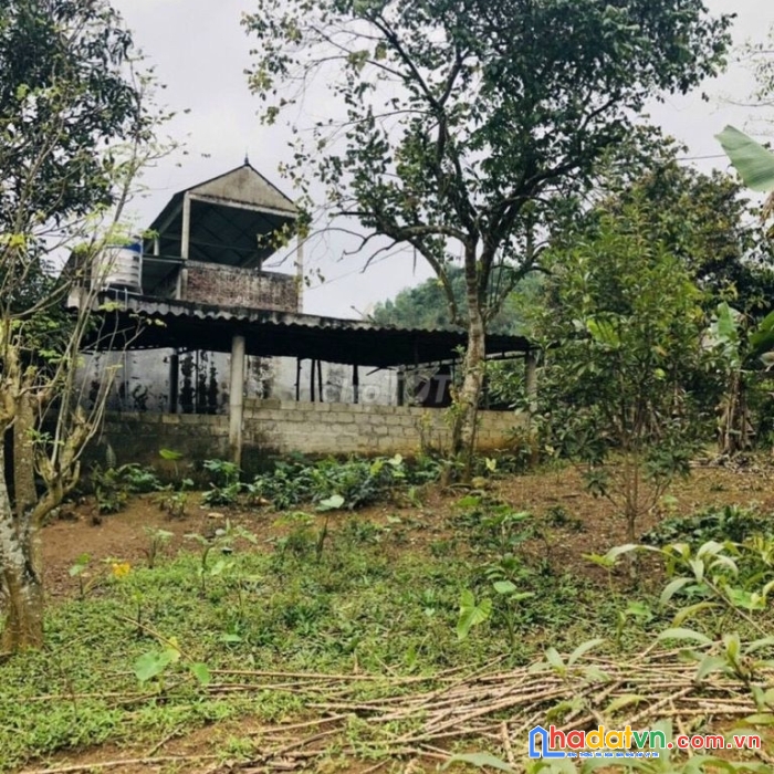 Chính chủ cần  bán lô đất xã mỹ hòa tân lạc hòa bình