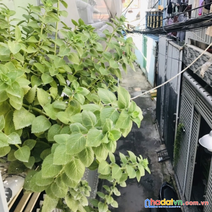 Gửi anh em 25tr phí hoa hồng nhà sổ riêng