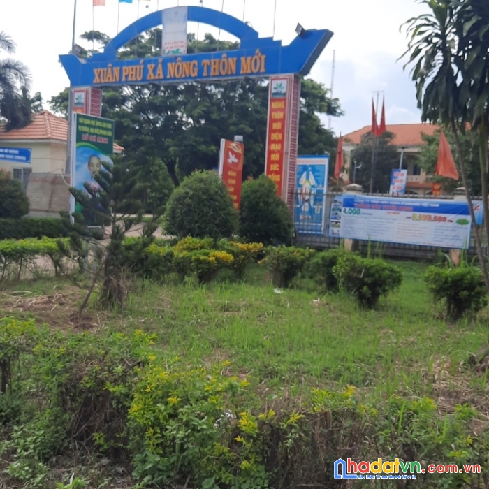 Cần bán 4 sổ  đất tại xuân phú, gần bên cây xăng ông đồn 1.
cần bán 4 sổ  đất tại xuân phú, gần