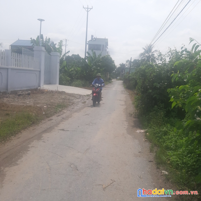 Mặt đường thế nhân, hòa nghĩa, dương kinh, hp