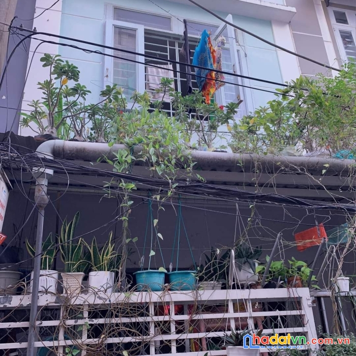 Nhà ngang khủng 7m, hẻm thông tứ phía, dòng tiền cho thuê 20 triệu/ tháng