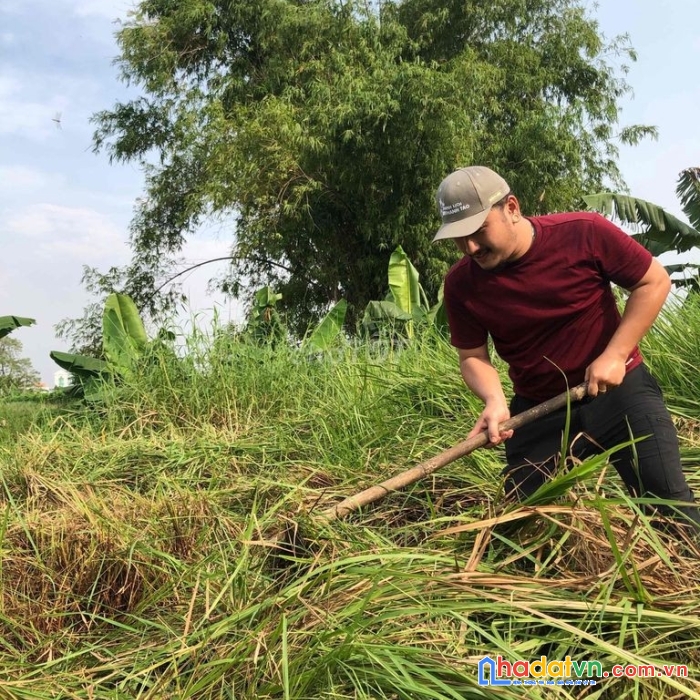 Chính chủ bán đất bà cả, xã đa phước, huyện bình chánh, tp hồ chí minh