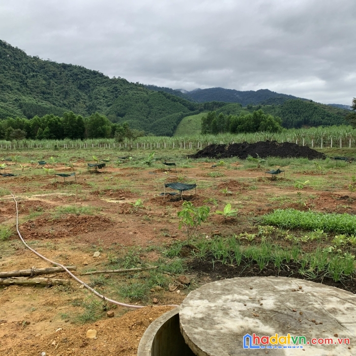 Chính chủ cần bán lô đất mặt tiền yangbay đường hương lộ 62, xã khánh phú, khánh vĩnh, khánh hòa