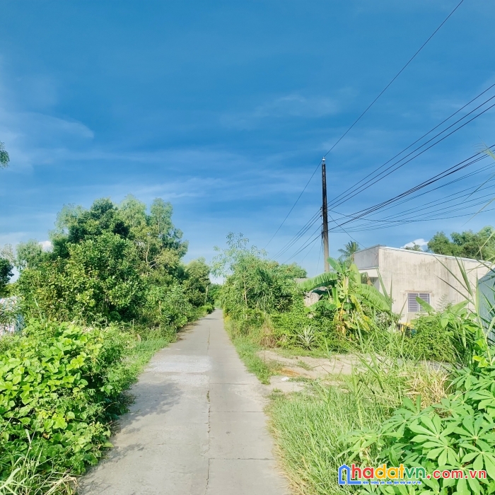 Bán gấp miếng đất mặt tiền ấp minh tân , giục tượng, châu thành, kiên giang.