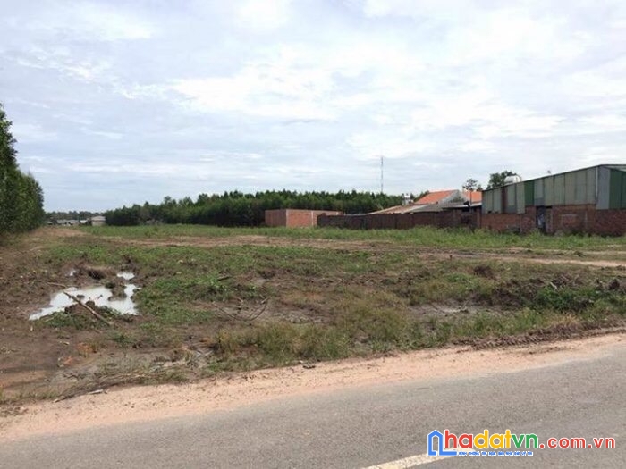 Cô út cần bán đất nền tại khu công nghiệp bầu xéo, xã hưng thịnh, huyện trảng bom, tỉnh đồng nai