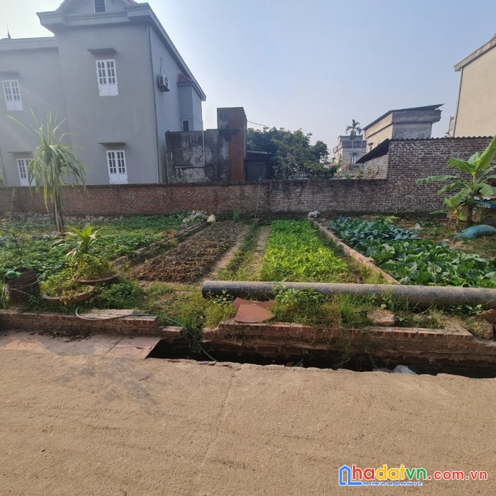 Bán 40m đất xã xuân nộn đông anh – ô tô vào – 2x tr/m2