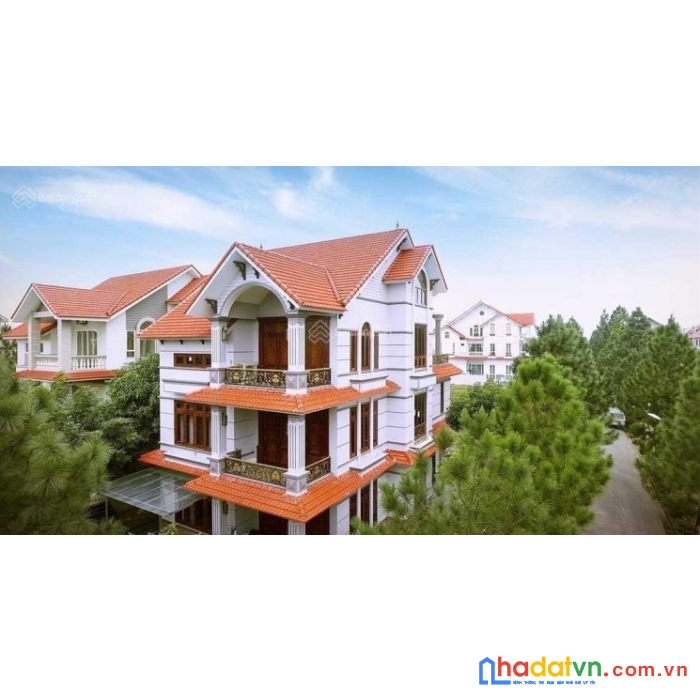 Chính chủ cần bán gấp lô biệt thự