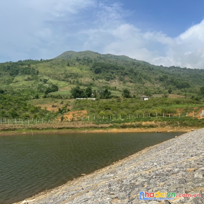 Tại xuân phong ,cao phong  hòa bình  e có lô đất  4430m  bán rẻ để lấy tiền đầu tư .