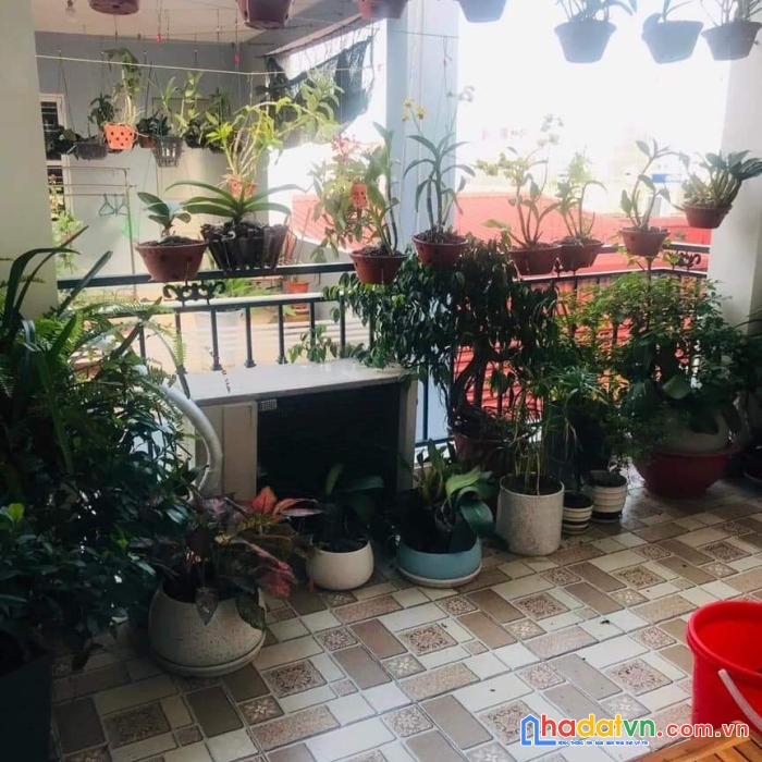 Sở hữu ngay căn nhà đẹp vị trí đắc địa tại lê chân hải phòng.