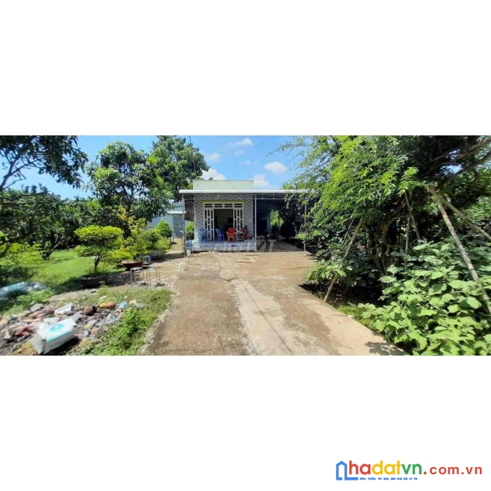 Gia đình cần bán đất vườn tại bảo hòa - xuân lộc - đồng nai