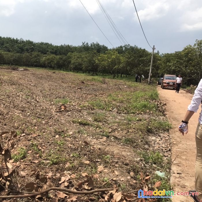 Bán đất chính chủ sổ sẵn công chứng ngay bao đẹp vị trí vàng giá rẻ hấp dẫn tại bình phước