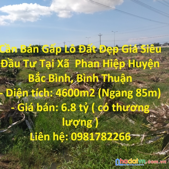 Cần bán gấp lô đất đẹp giá siêu đầu tư tại xã  phan hiệp huyện bắc bình, bình thuận