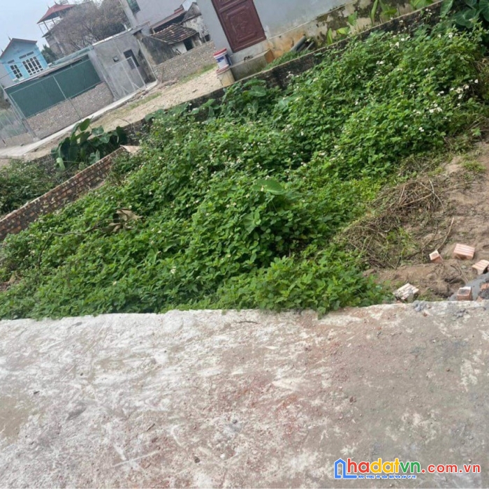 Bán đất thuỵ lôi đông anh, 48m2 giá chỉ 670tr lh 0982476091