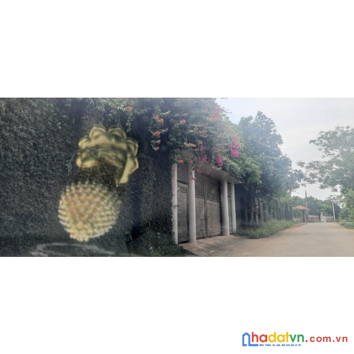Chính chủ gửi bán lô đất 1499m sổ hồng đông xuân quốc oai hà nội giá thỏa thuận cho anh chị đầu tư