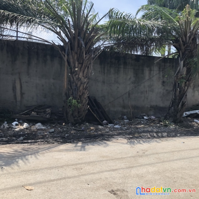 Đất trống h10m, tân thới hiệp, quận 12, 4x25m, giá rẻ 3.8 tỷ tl