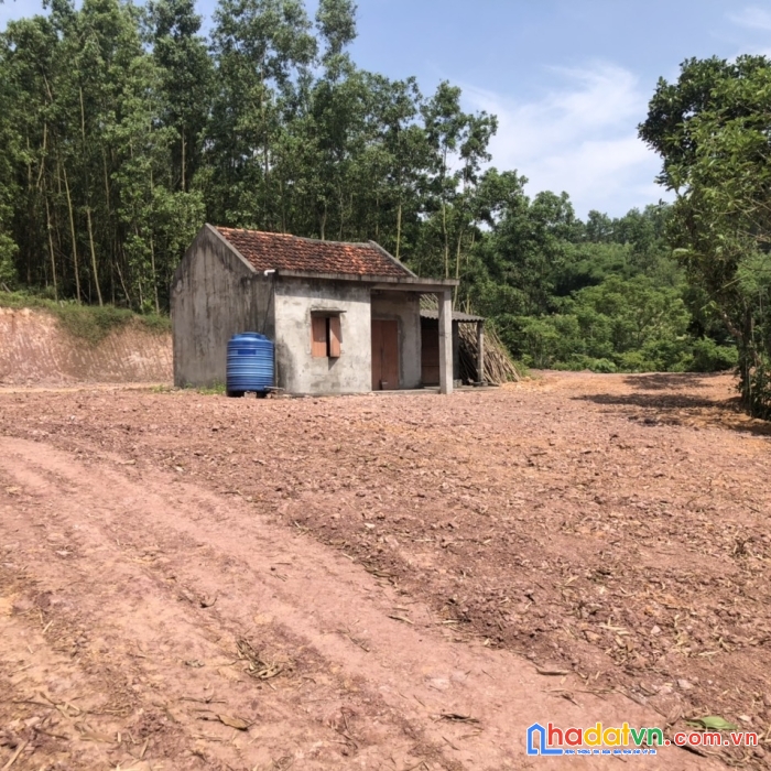 Cần bán ô đất nằm ở trung tâm 2.114m2 đài xuyên- vân đồn gần kđt bắc sân bay