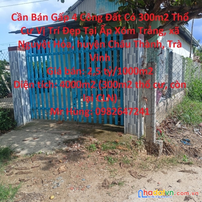 Cần bán gấp 4 công đất có 300m2 thổ cư vị trí đẹp tại châu thành, trà vinh