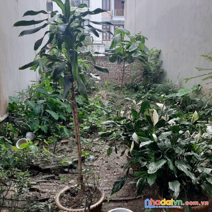 Quá hiếm ! bán đất việt hưng, long biên, 39,2m, rộng 3,5m, vị trí đẹp, 2,5 tỷ