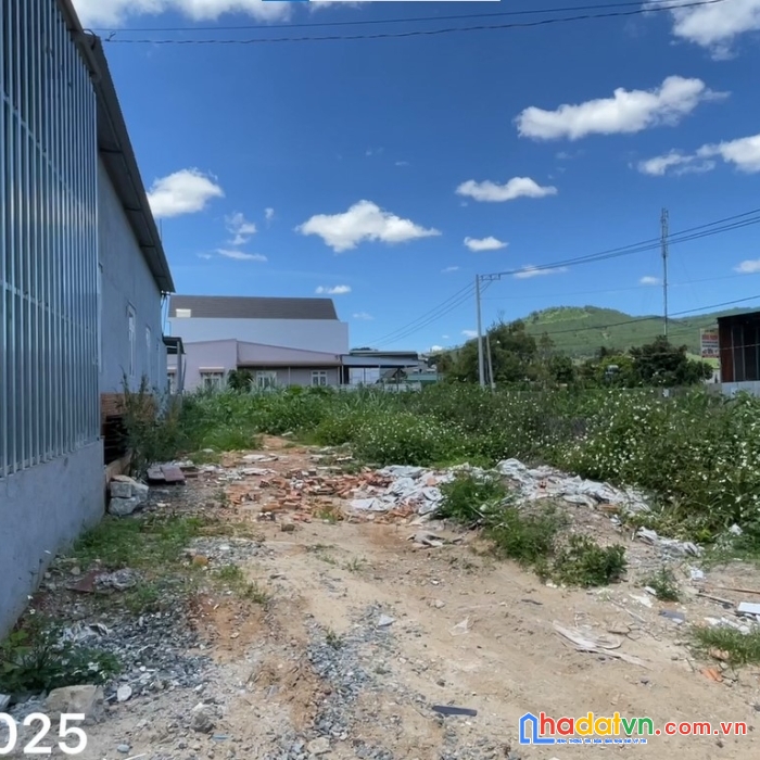 Bán đất (6x25 - 100m2 thổ cư) trung tâm hiệp thạnh - đức trọng - lâm đồng