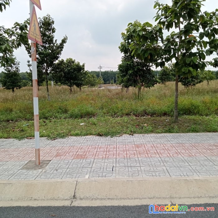 Mình cần ra gấp lô 104m2, 2 mt đường, ngay trung tâm hành chinh mới, bình dương.