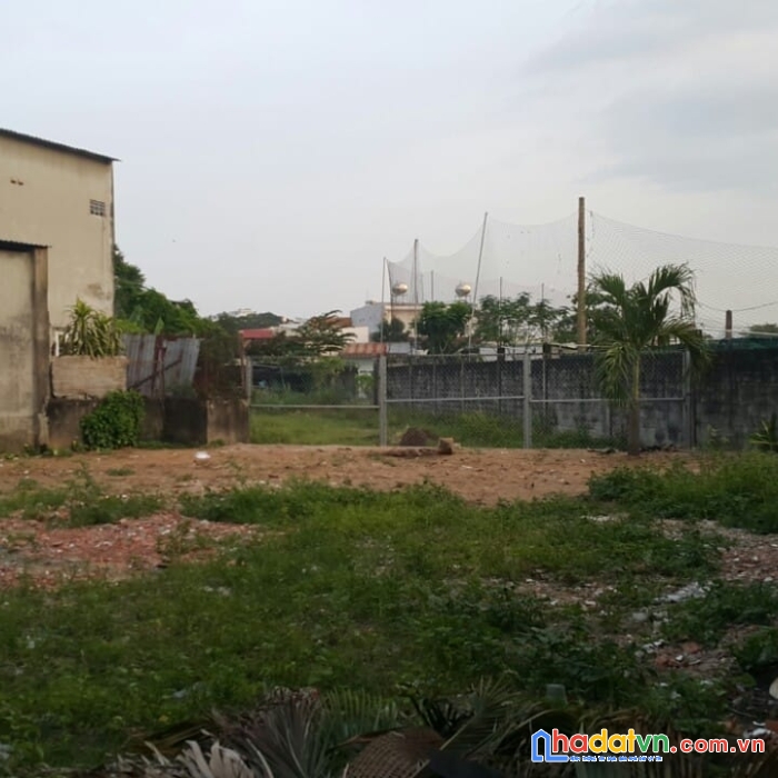 Bán đất đường số 2 gần nhà thờ tam hải 309m2 giá 9 tỷ